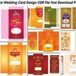 Multicolor Wedding Card Design CDR File